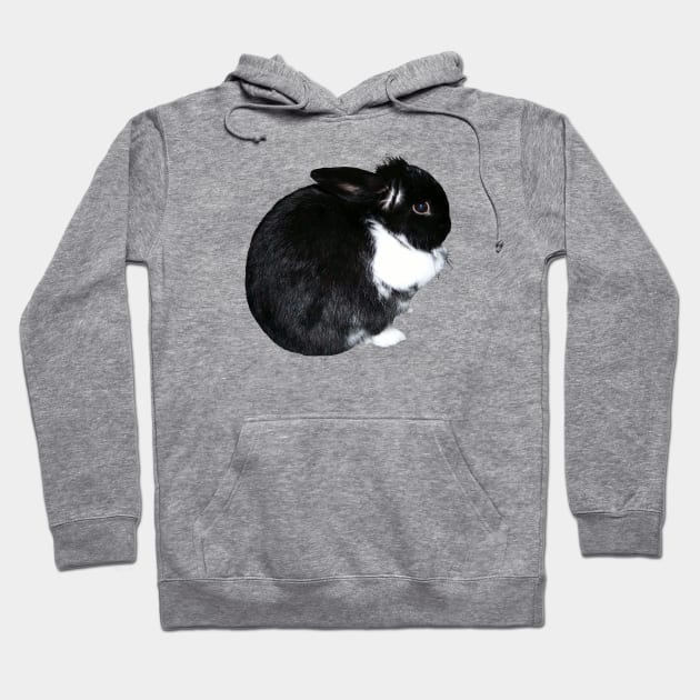 Black and White Cute Bunny Hoodie by badlydrawnbabe